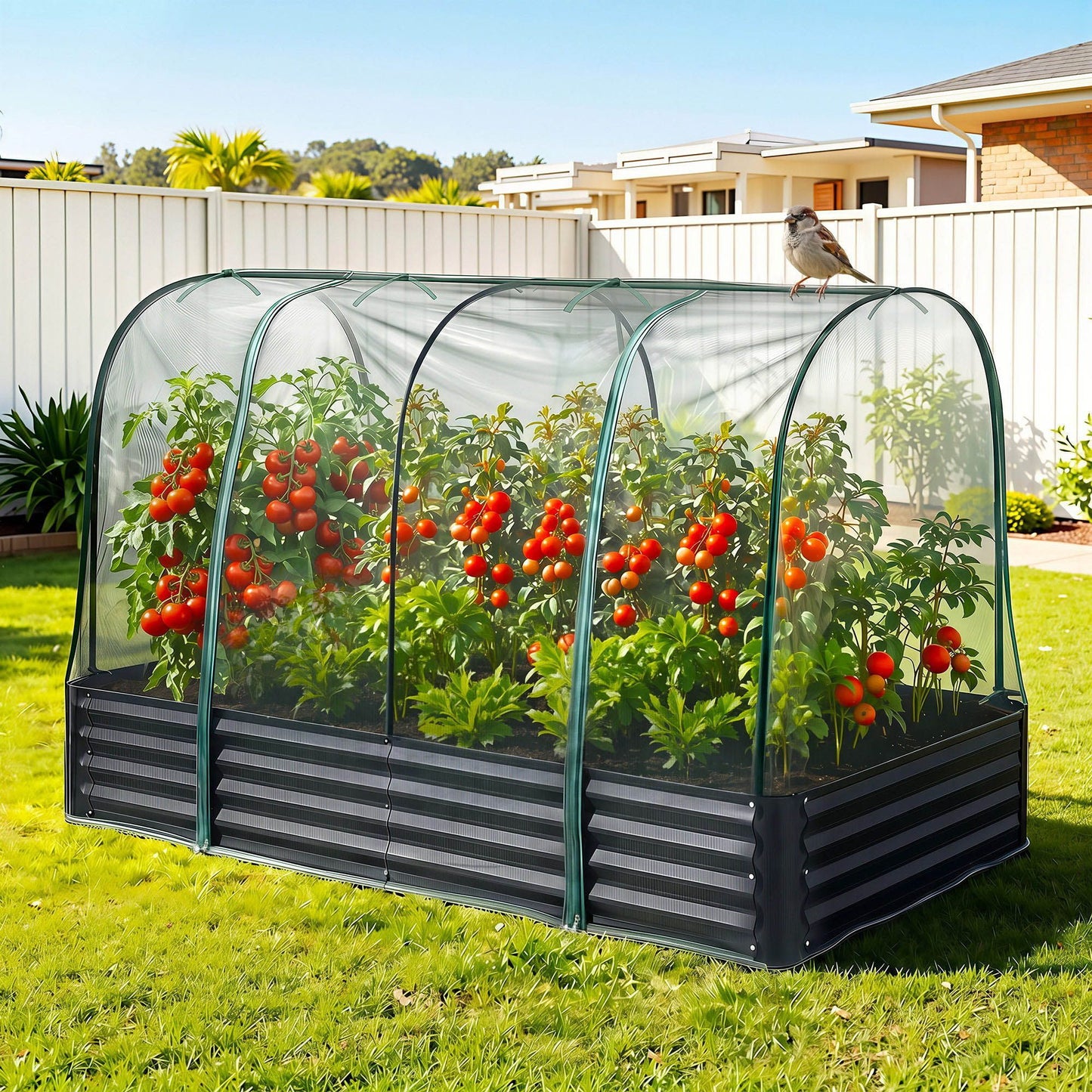 Green Fingers Raised Garden Bed with Mesh Cover 180cm