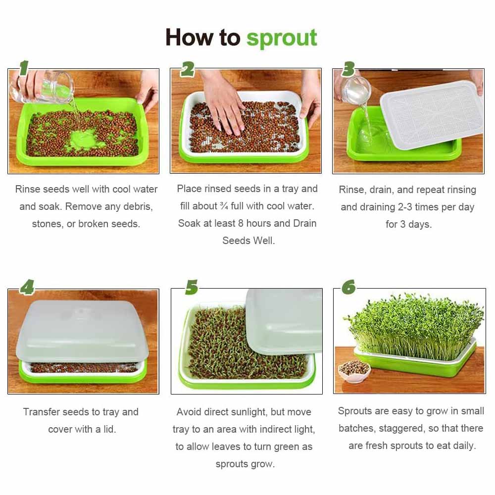 Seed Sprouter Trays - 2 Pack