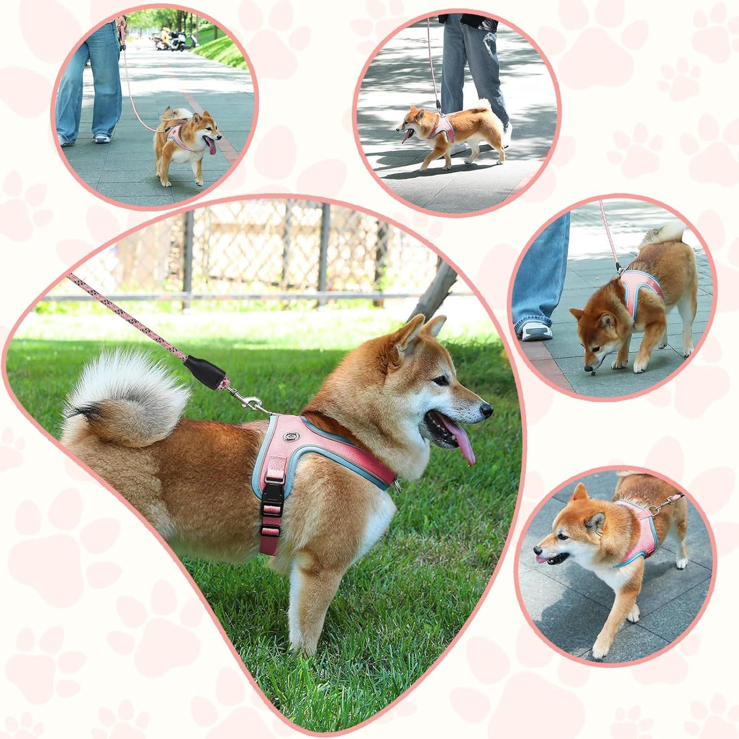Dog Harness~ Breathable Anti-Choke Escape-Proof Step-In Walking Gear