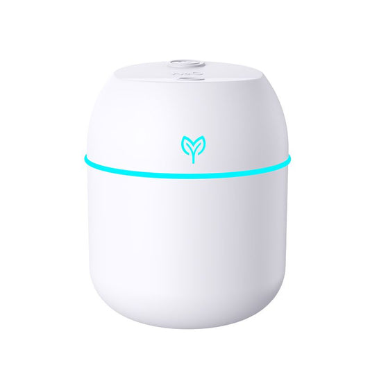 Desktop Ultrasonic Air Humidifier with Colorful LED Light