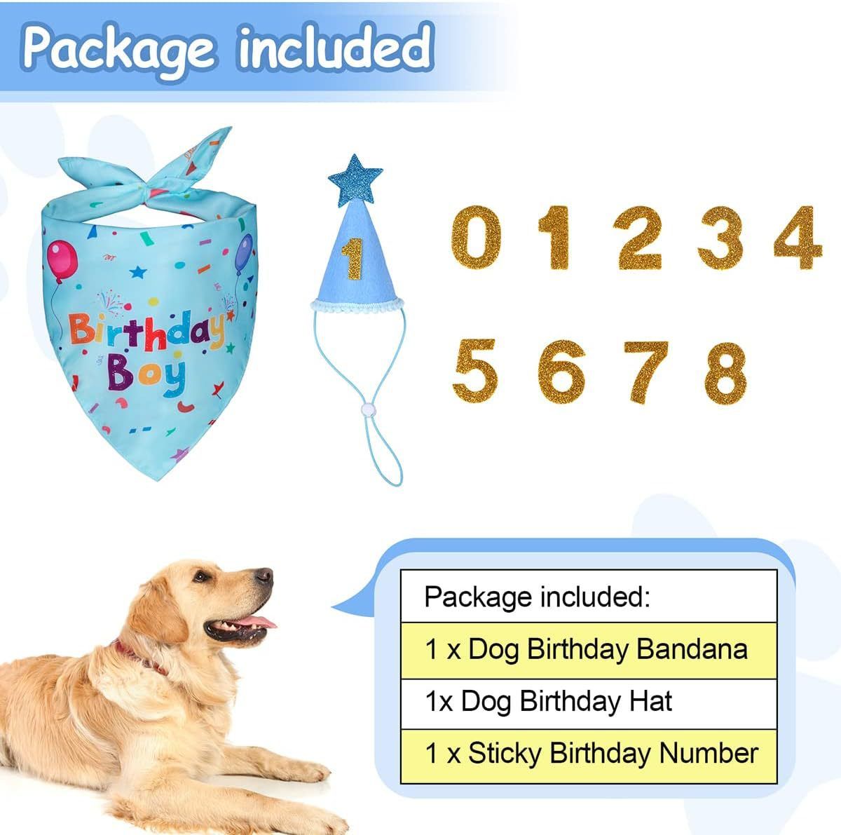 Blue Pet Birthday Bandana and Hat Set for Photo Props and Celebration