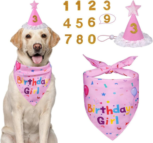 Pink Pet Birthday Bandana and Hat Set for Photo Props and Celebration