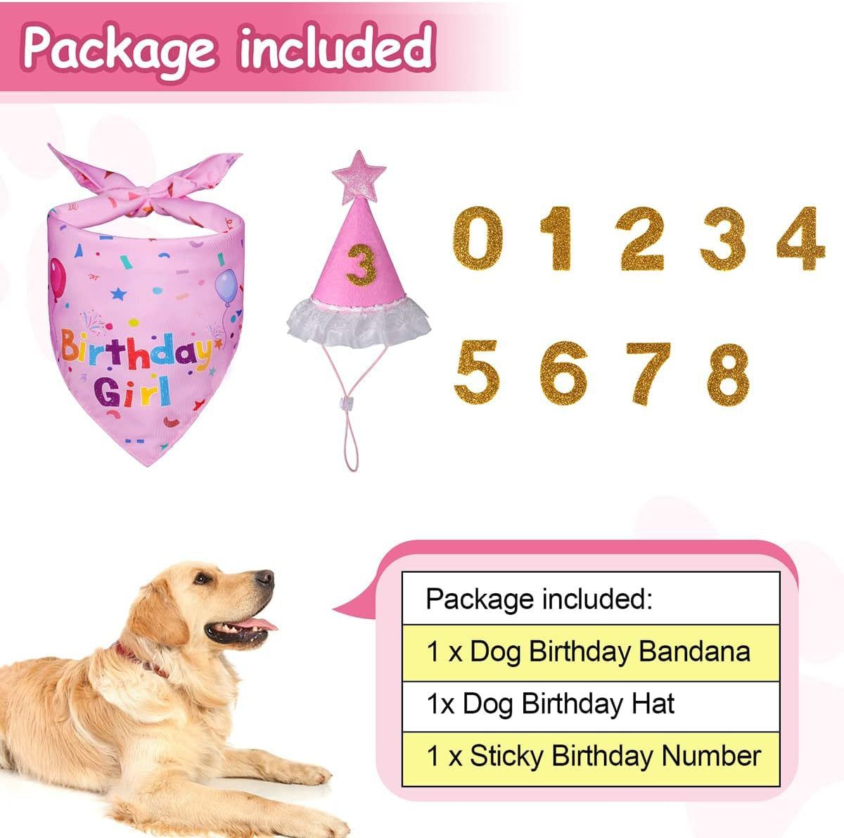 Pink Pet Birthday Bandana and Hat Set for Photo Props and Celebration