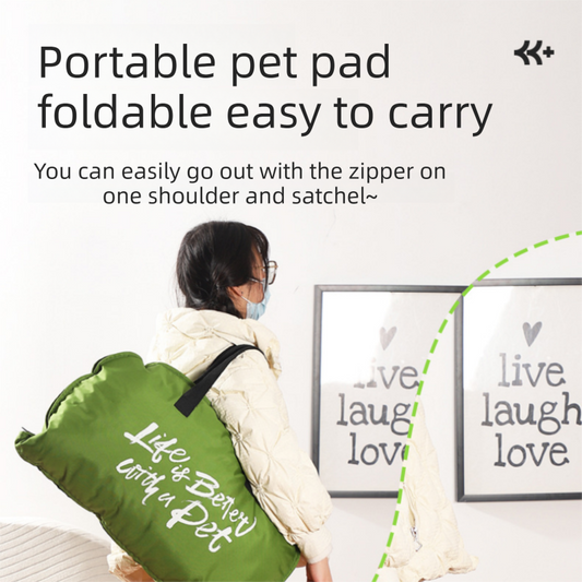 3-Piece Dog Winter Travel Set - Yellow M
