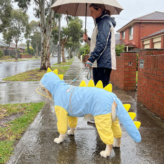 Dinosaur Dog Raincoat - Blue 6XL