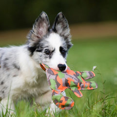 Major Dog Waldi Mini