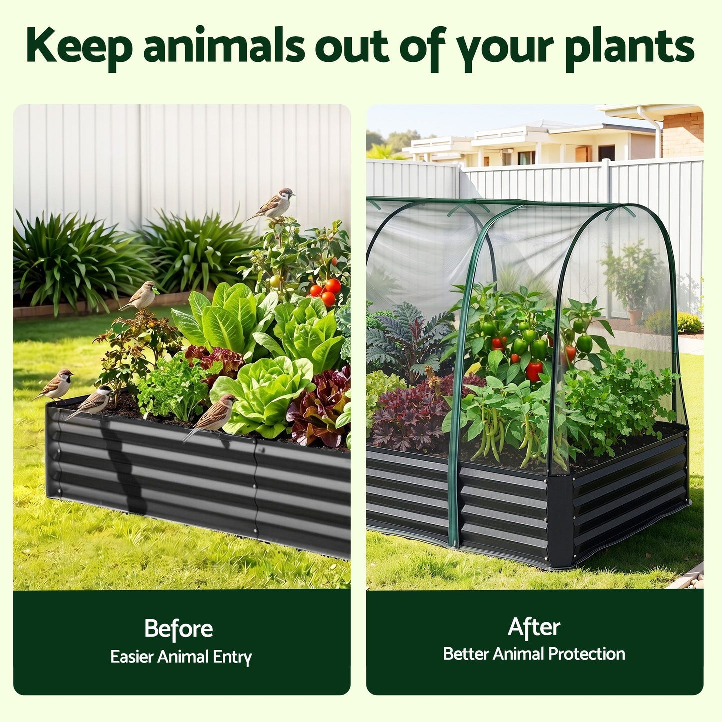 Green Fingers Raised Garden Bed with Mesh Cover 180cm
