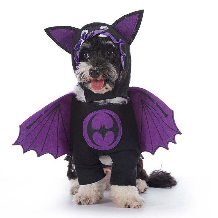 Pet Christmas Costume - Size S