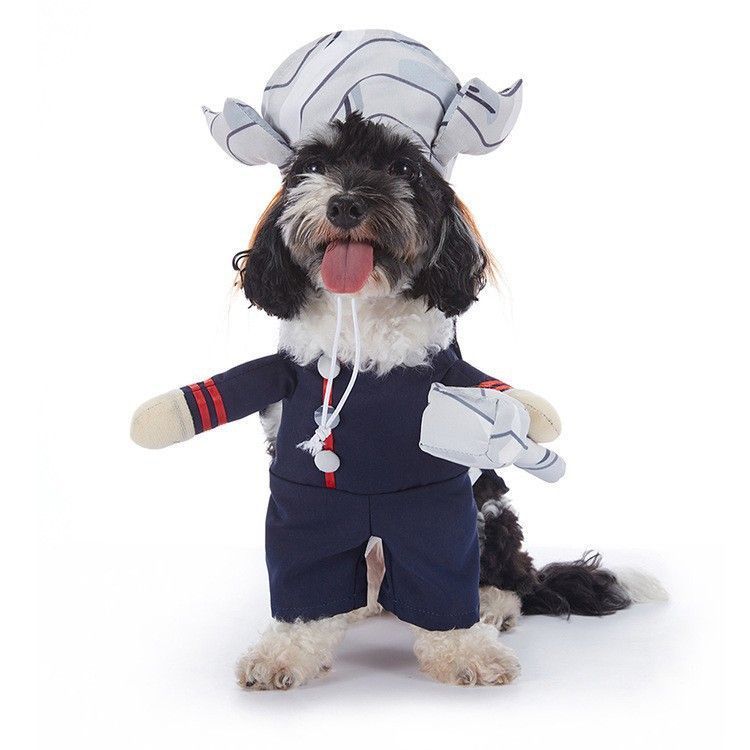 Pet Christmas Costume - Size L
