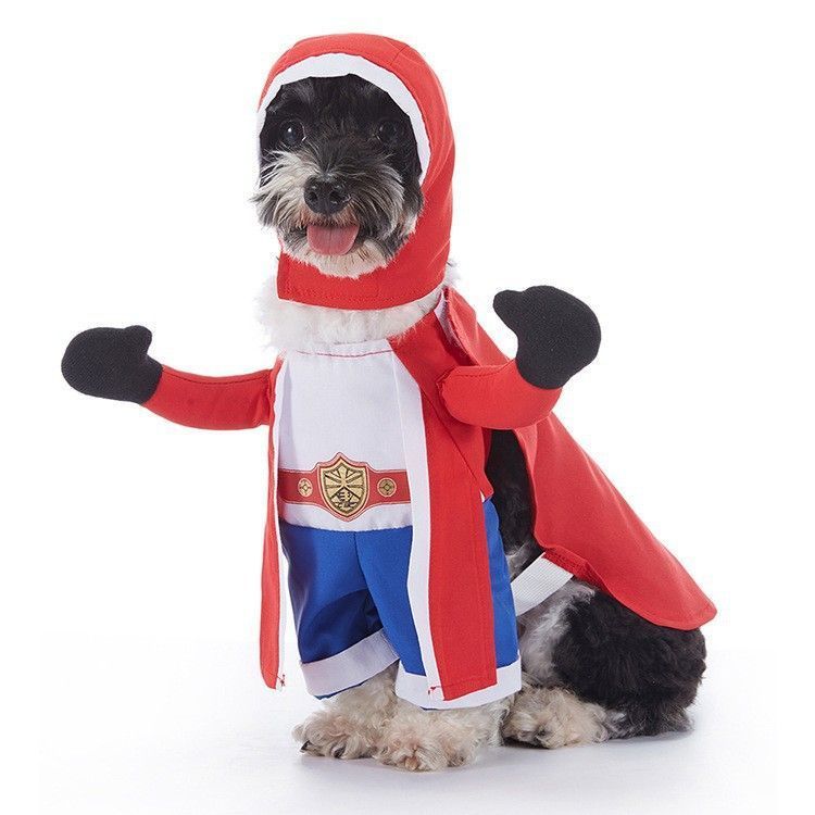 Pet Christmas Costume - Size XL