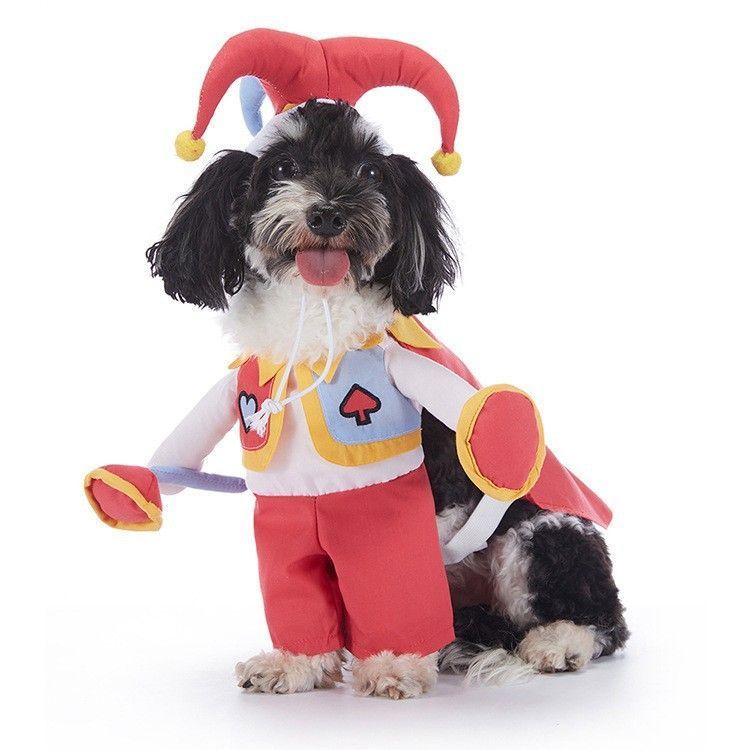 Pet Christmas Costume - Size L