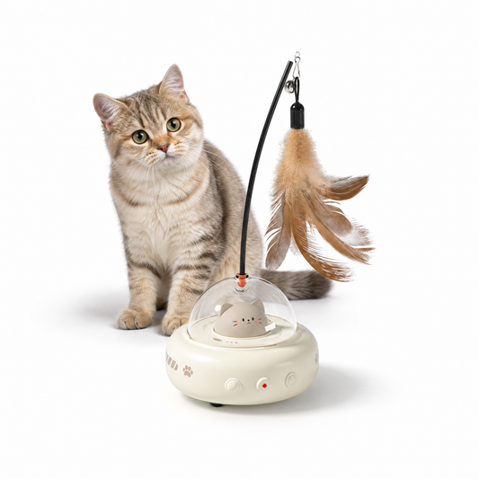 Rechargeable Smart Cat Teaser Toy with Feather Wand