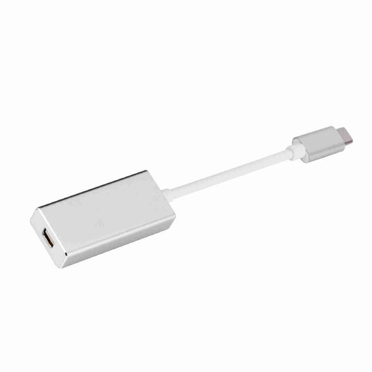 USB-C to Mini DisplayPort Adapter - Silver