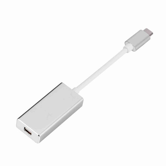 USB-C to Mini DisplayPort Adapter - Silver
