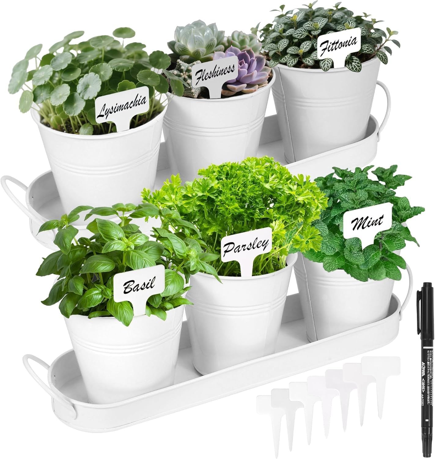 Indoor Herb Planter Kit - White