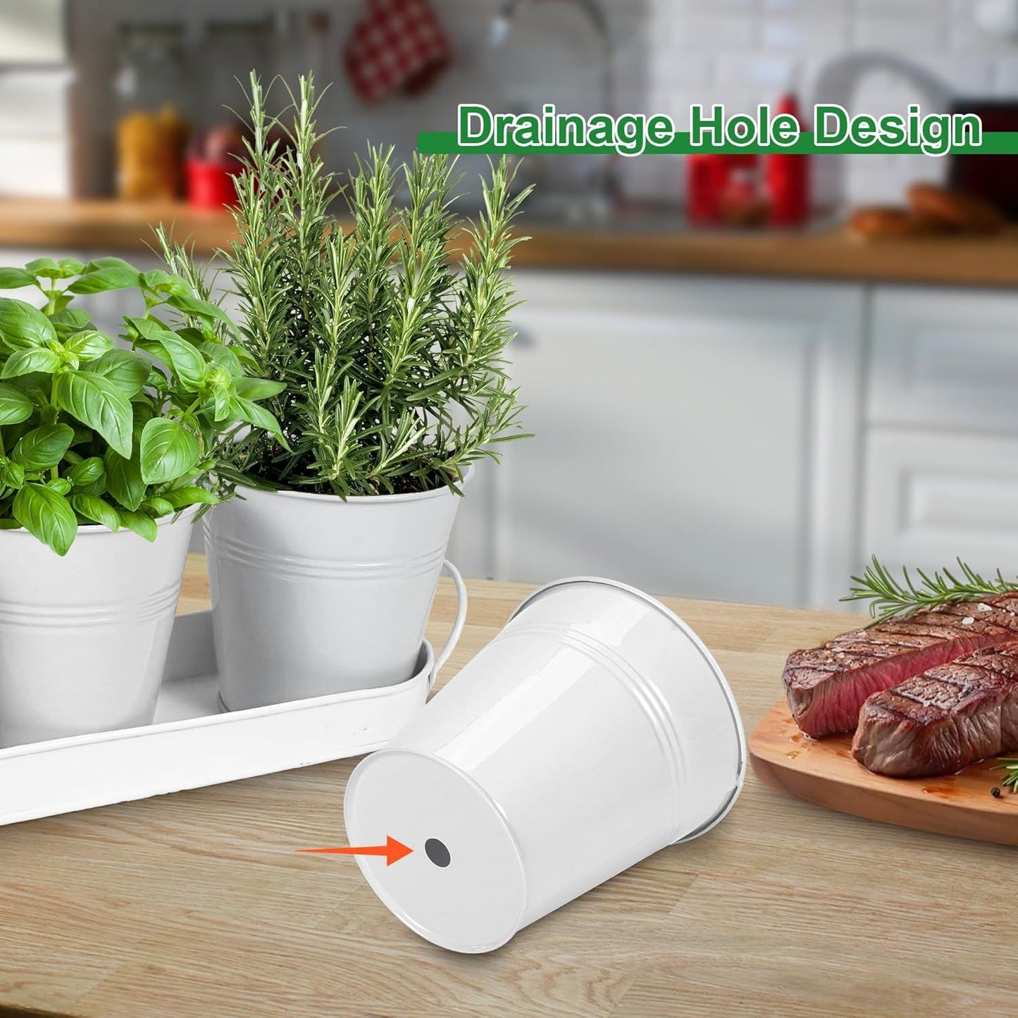 Indoor Herb Planter Kit - White