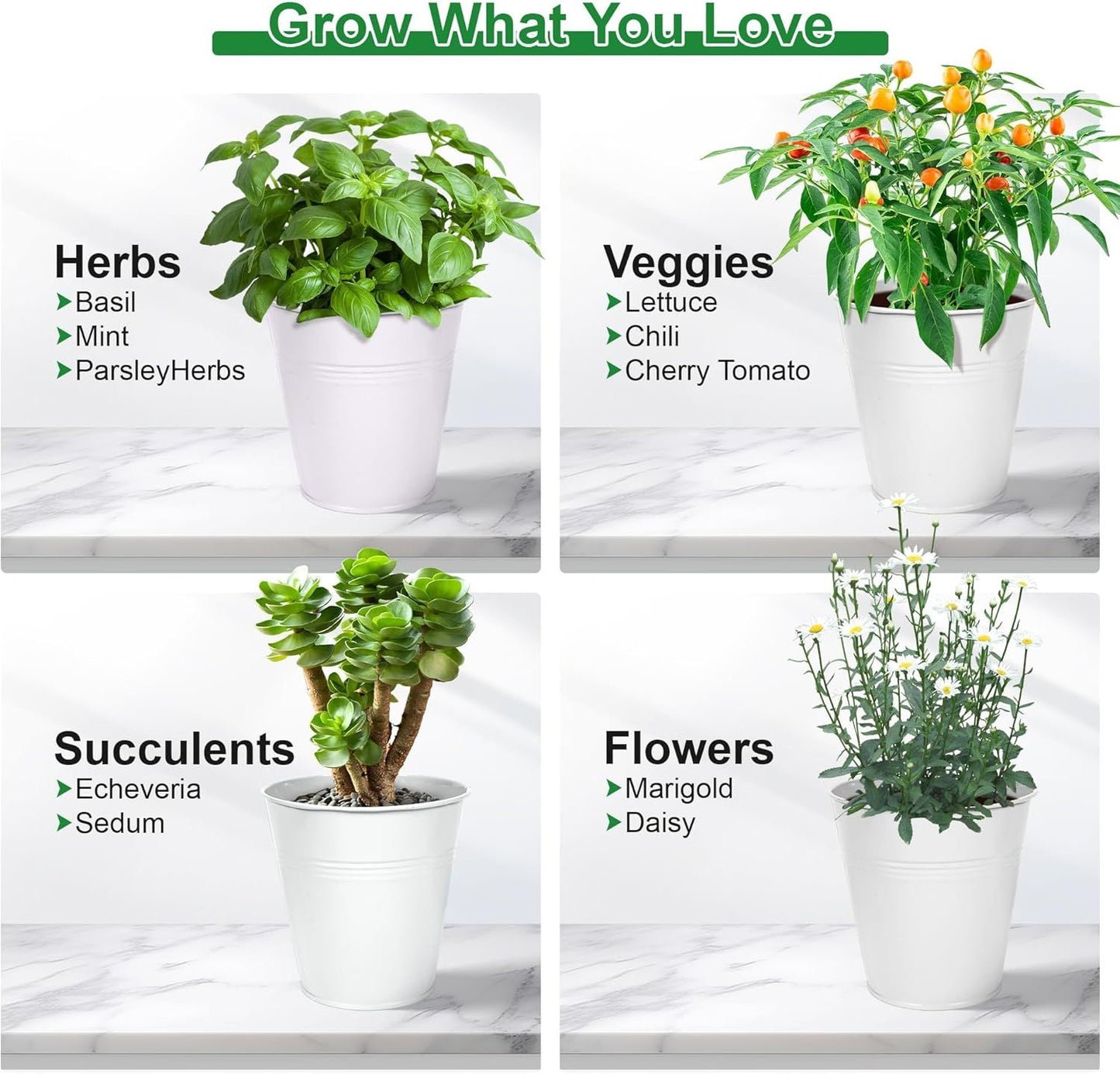 Indoor Herb Planter Kit - White