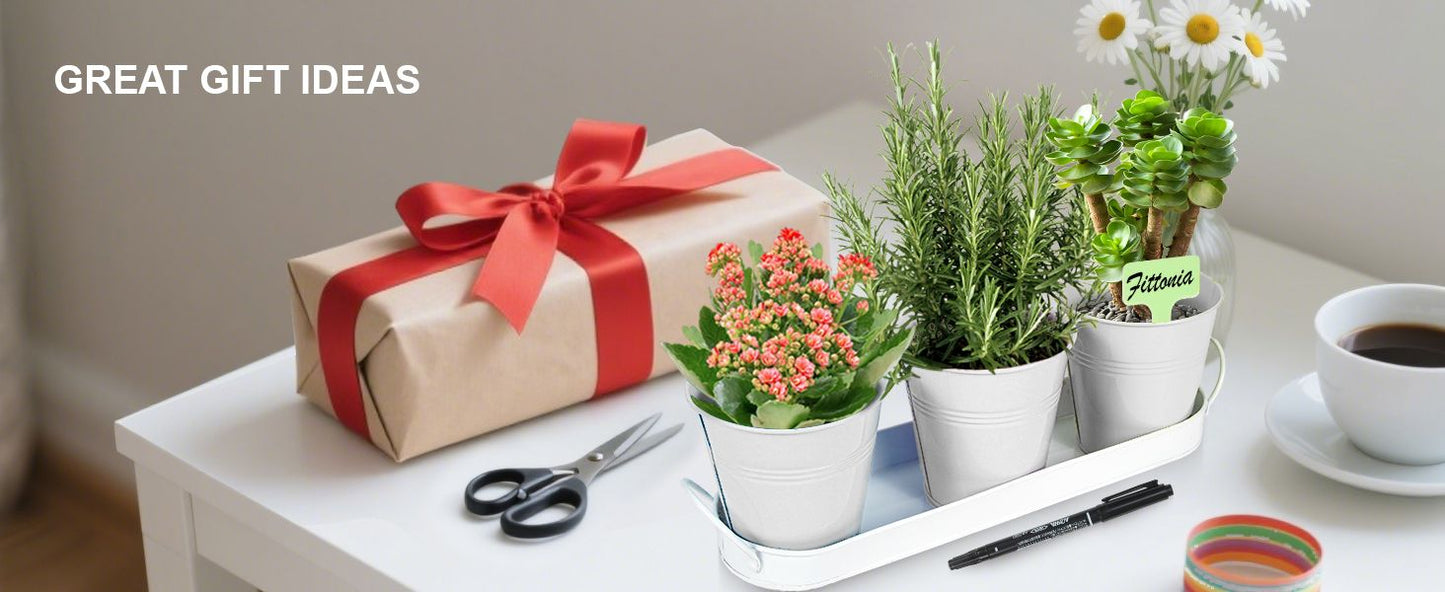 Indoor Herb Planter Kit - White