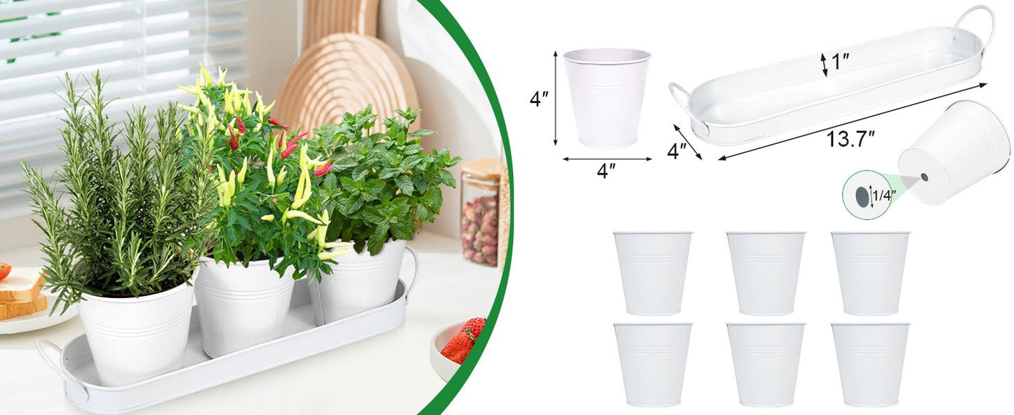 Indoor Herb Planter Kit - White