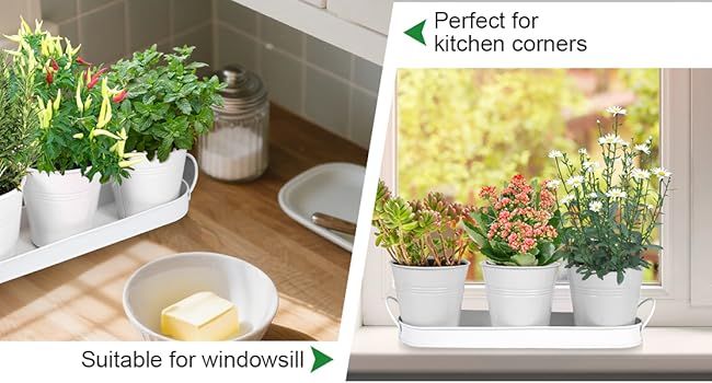 Indoor Herb Planter Kit - White
