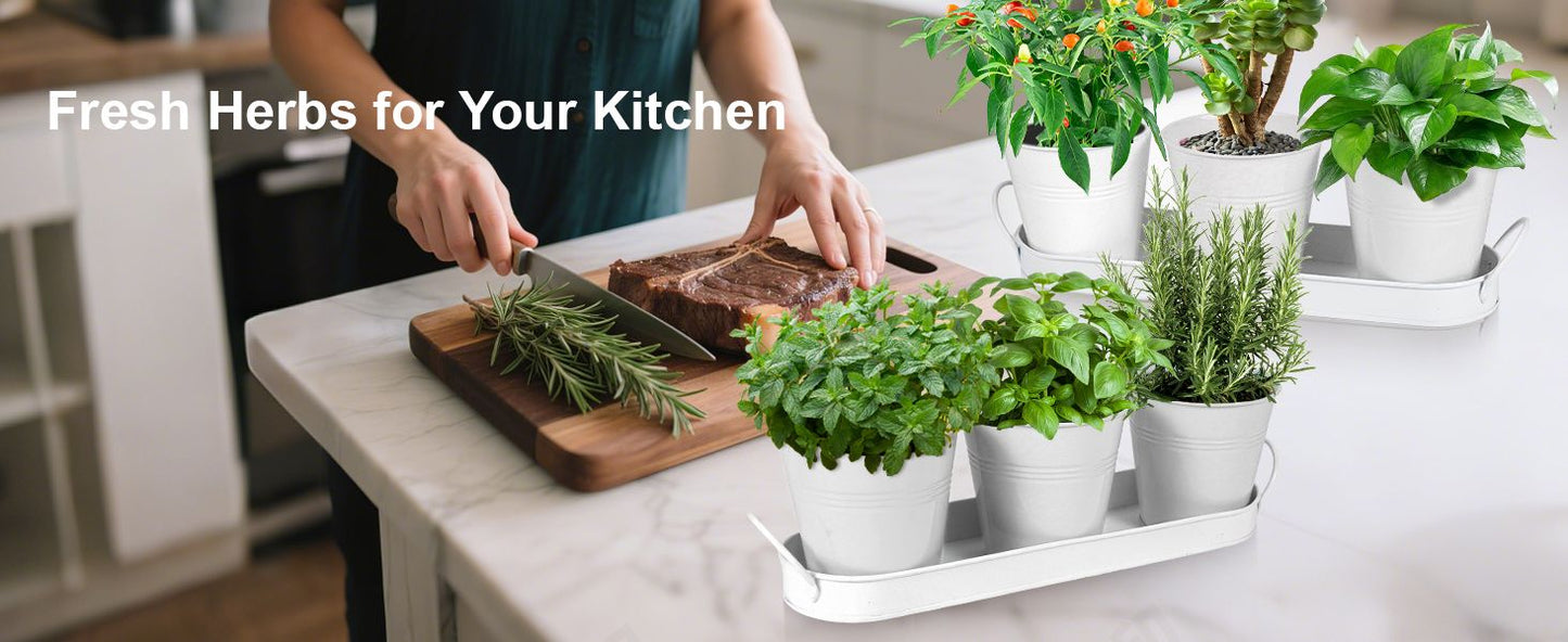 Indoor Herb Planter Kit - White