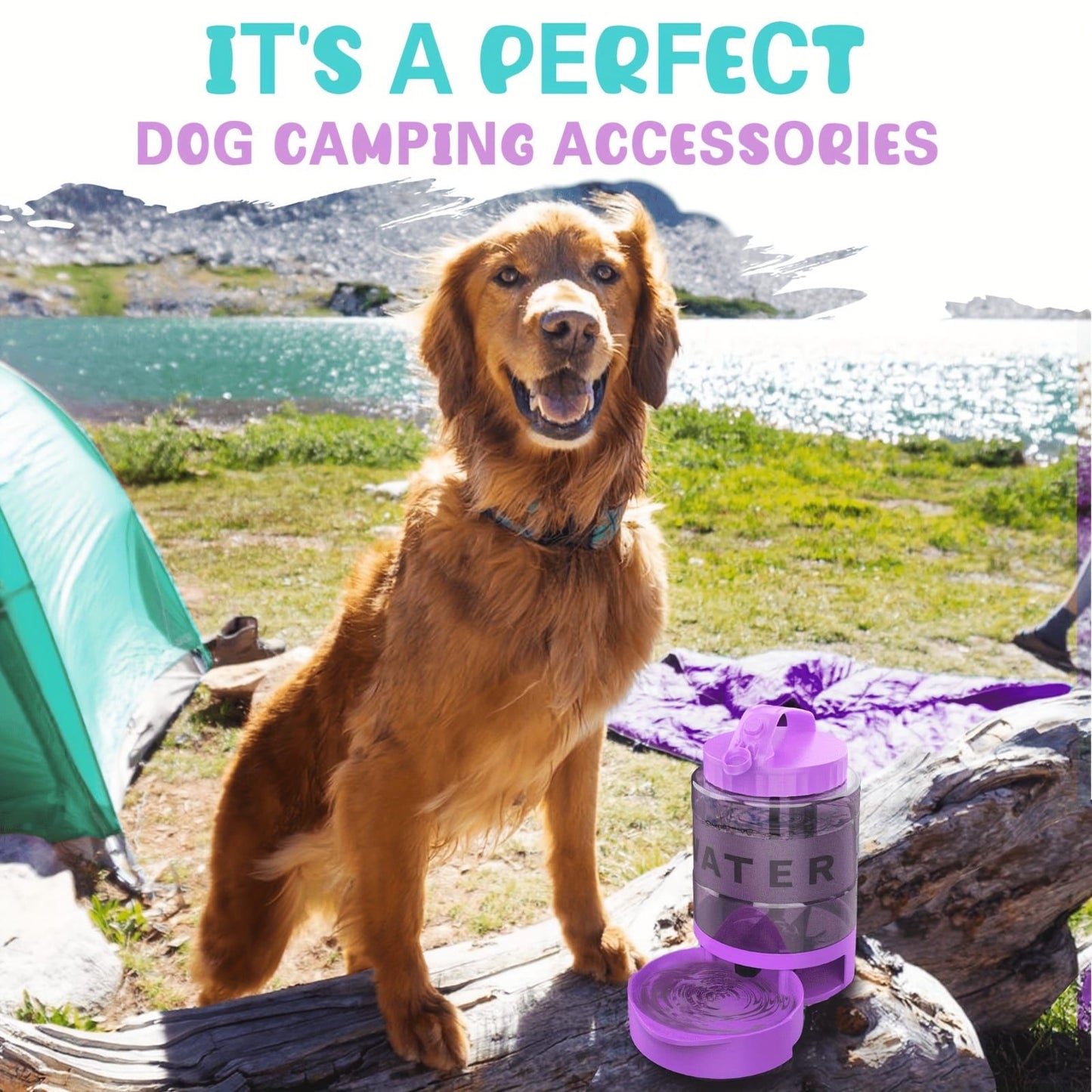 Portable Pet Water Bottle - Black