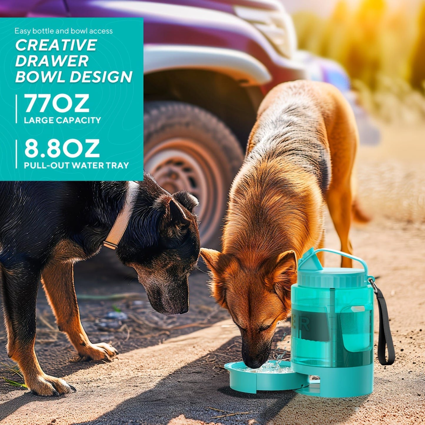 Portable Pet Water Bottle - Black