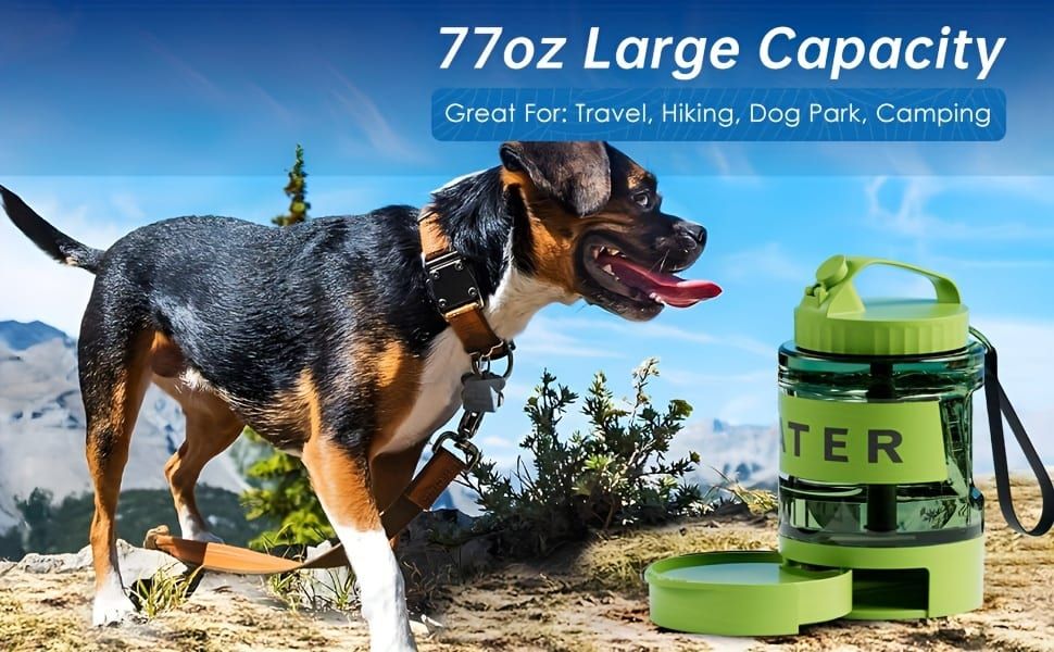 Portable Pet Water Bottle - Black