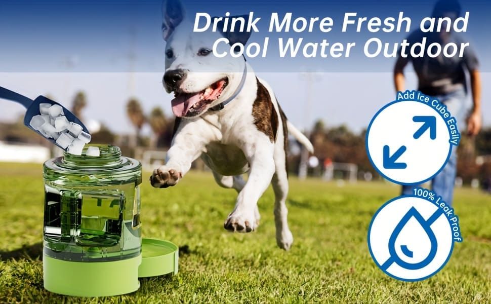 Portable Pet Water Bottle - Green