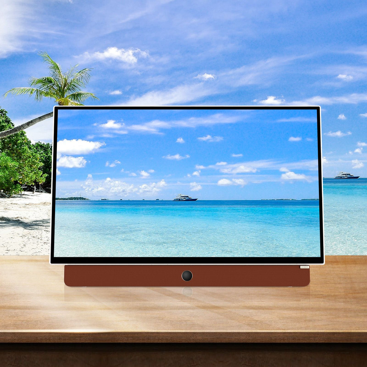 SKYWORTH 24-inch 12V Portable Smart TV