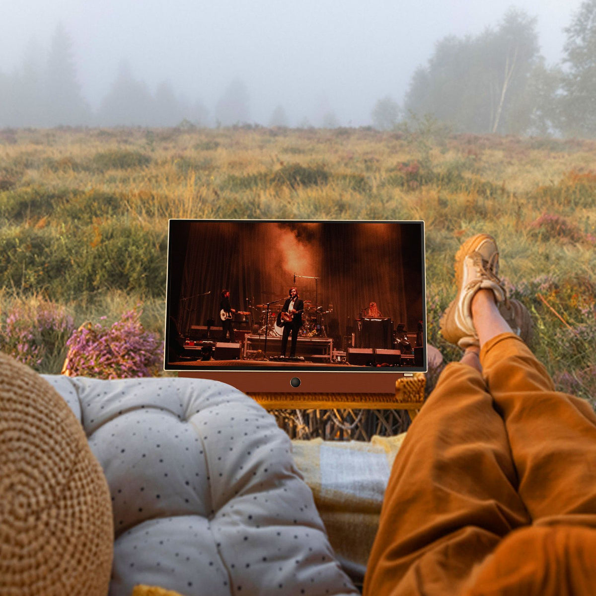 SKYWORTH 24-inch 12V Portable Smart TV