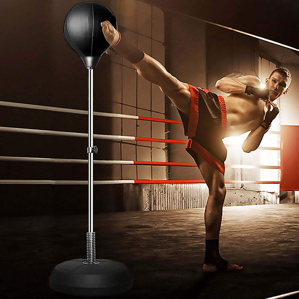 Boxing Set - Punching Ball and Gloves