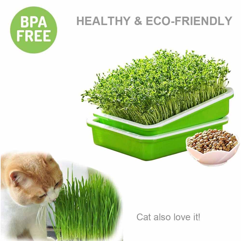 Seed Sprouter Trays - 2 Pack