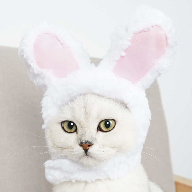 2-Pack Bunny Ears Cat Hat - Pink & White