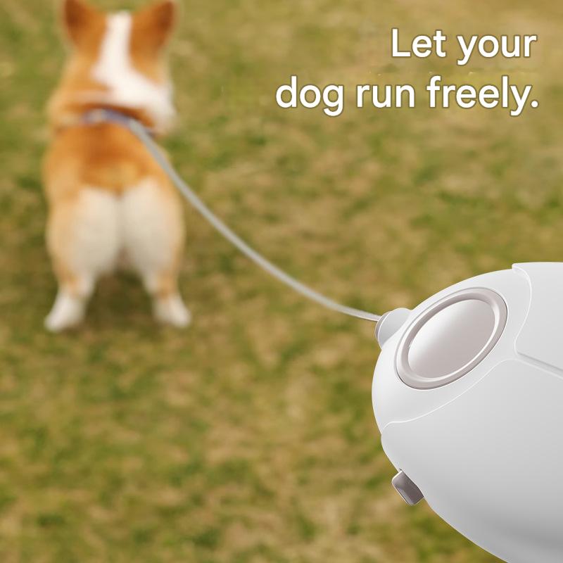 Pet Walking Rope for Small to Medium Dogs