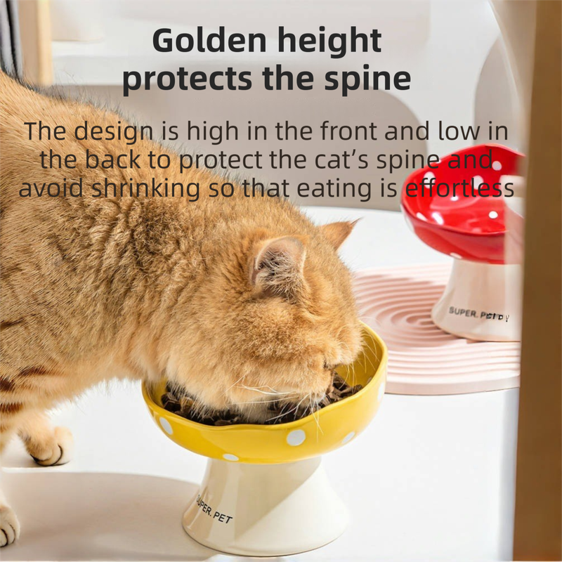 Red and Black Elevated 15° Tilted Ceramic Cat Bowl