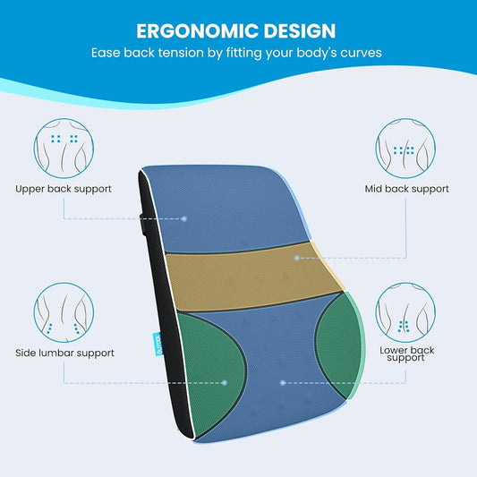Ergonomic Memory Foam Lumbar Support Pillow & S Curve High-Back Cusion