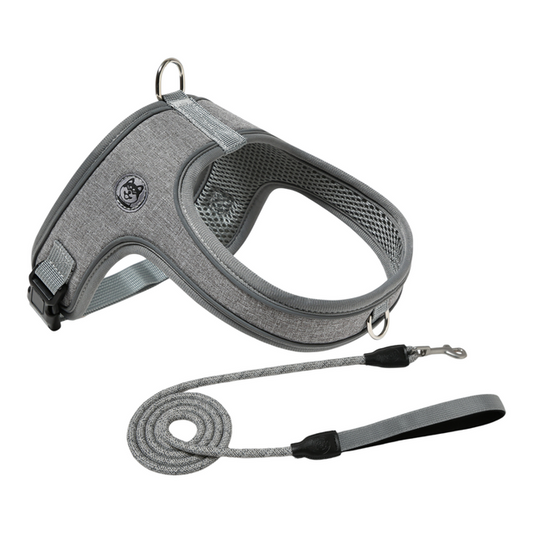 Dog Harness~ Breathable Anti-Choke Escape-Proof Step-In Walking Gear