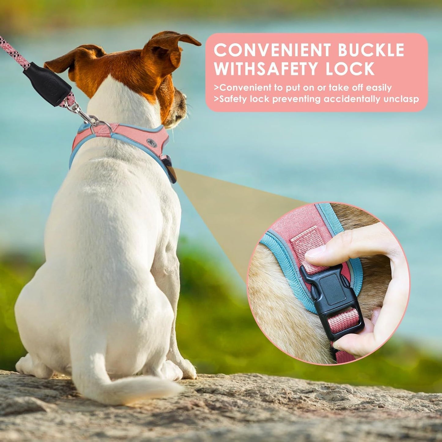 Dog Harness~ Breathable Anti-Choke Escape-Proof Step-In Walking Gear