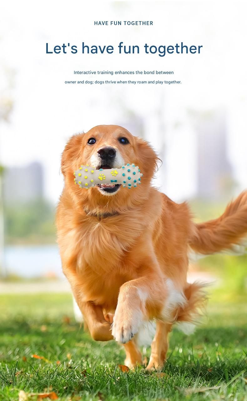 3-Piece Dog Chew Toy Set