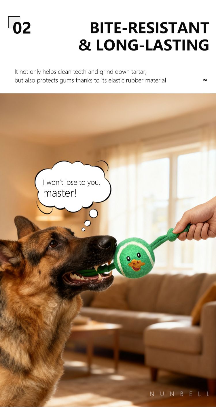 Chew-Resistant Dog Ball with Plush Animal Designs for Interactive Play