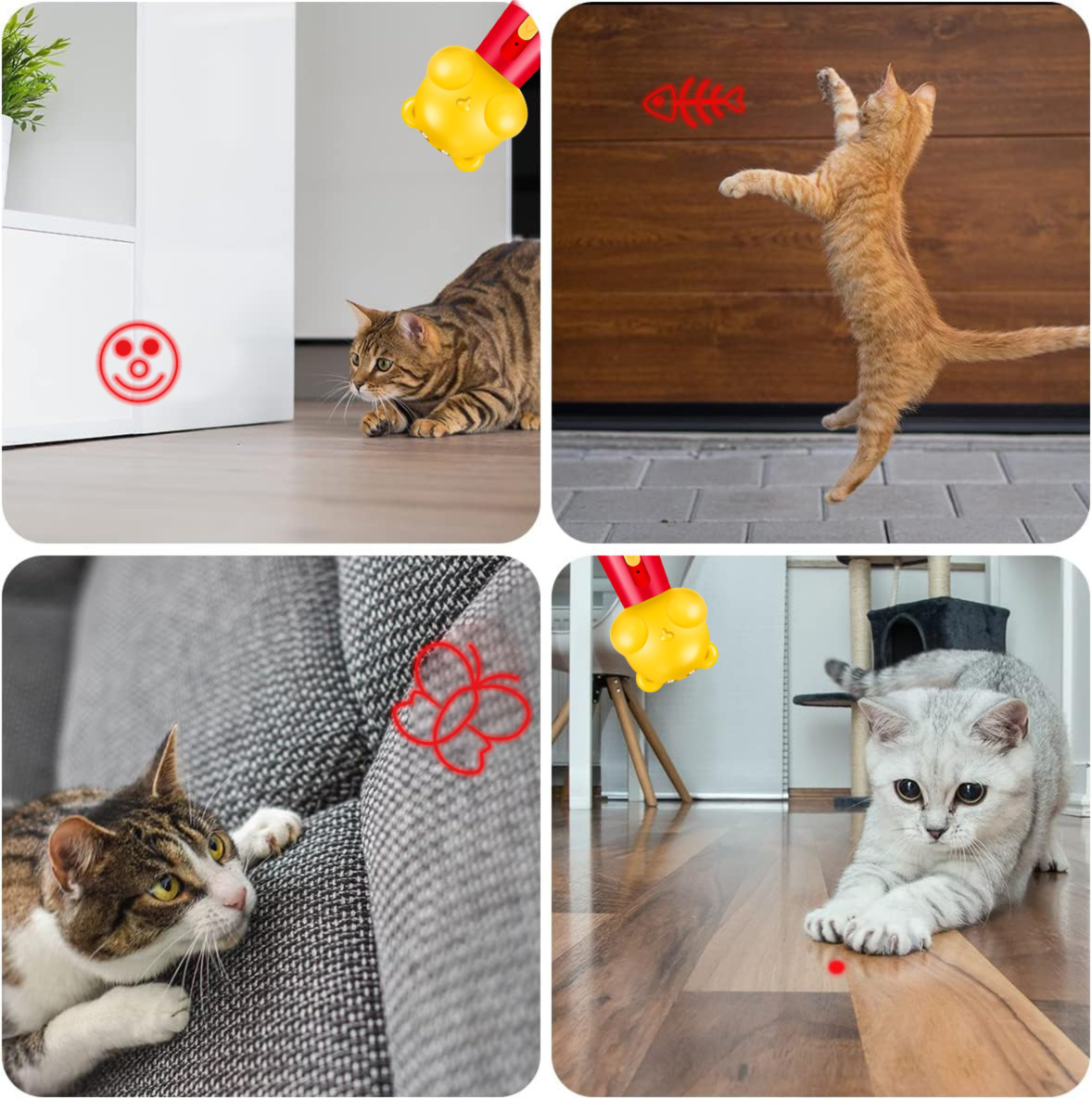 Multi Pattern Laser Pointer with UV and White Light for Cats