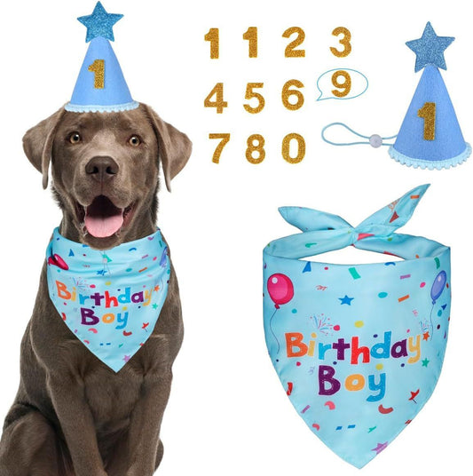 Blue Pet Birthday Bandana and Hat Set for Photo Props and Celebration