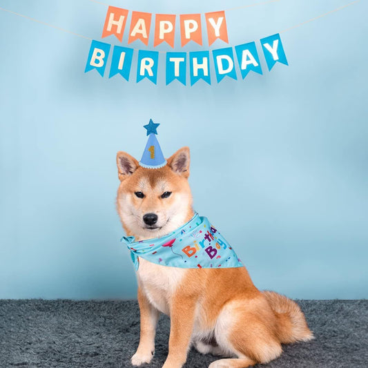 Blue Pet Birthday Bandana and Hat Set for Photo Props and Celebration