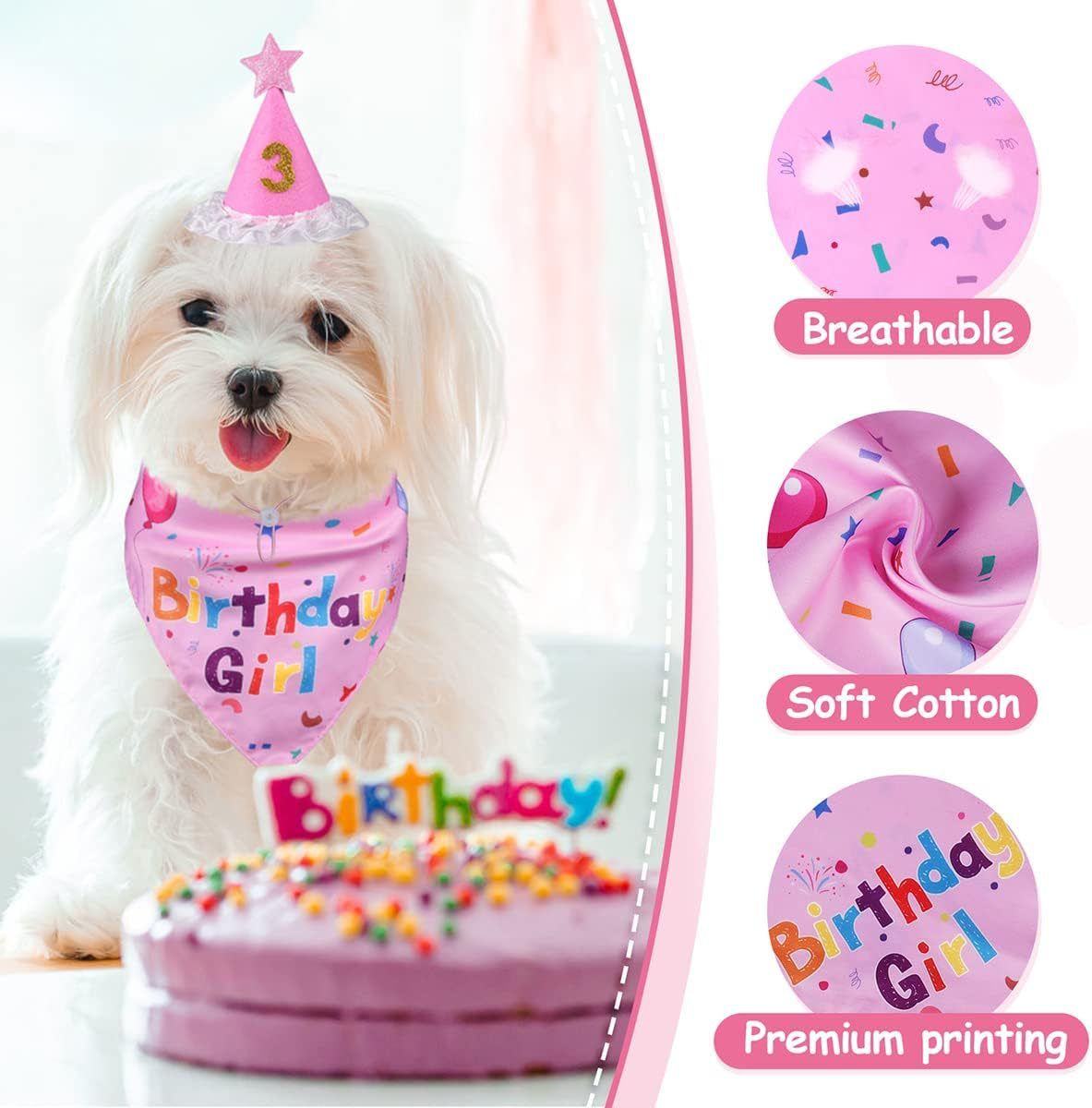 Pink Pet Birthday Bandana and Hat Set for Photo Props and Celebration