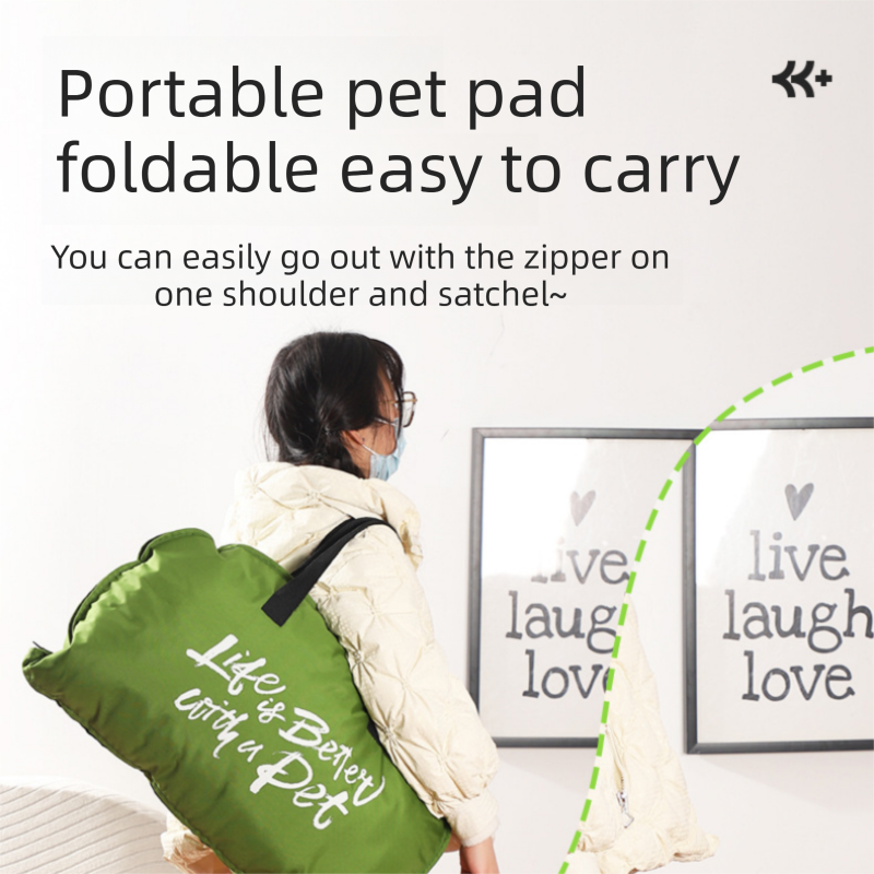 3-Piece Dog Winter Travel Set - Yellow M