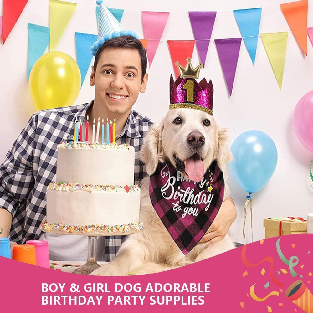 Dog Birthday Bandana Hat Bow Tie Balloons