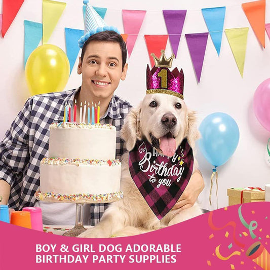 Dog Birthday Bandana Hat Bow Tie Balloons and Happy Birthday Banner Kit