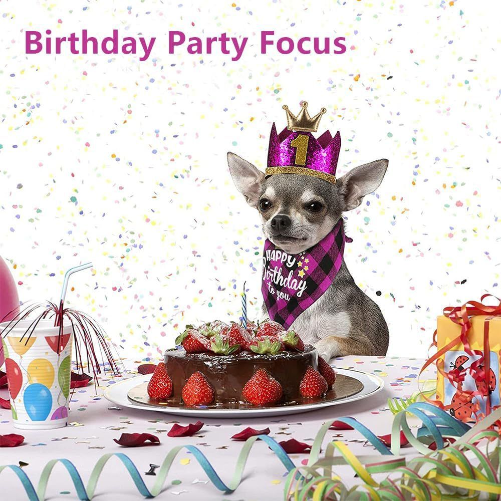 Dog Birthday Bandana Hat Bow Tie Balloons