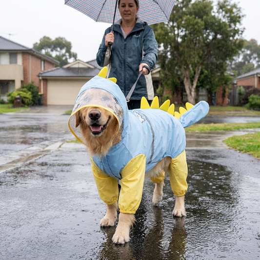 Dinosaur Dog Raincoat - Blue 6XL